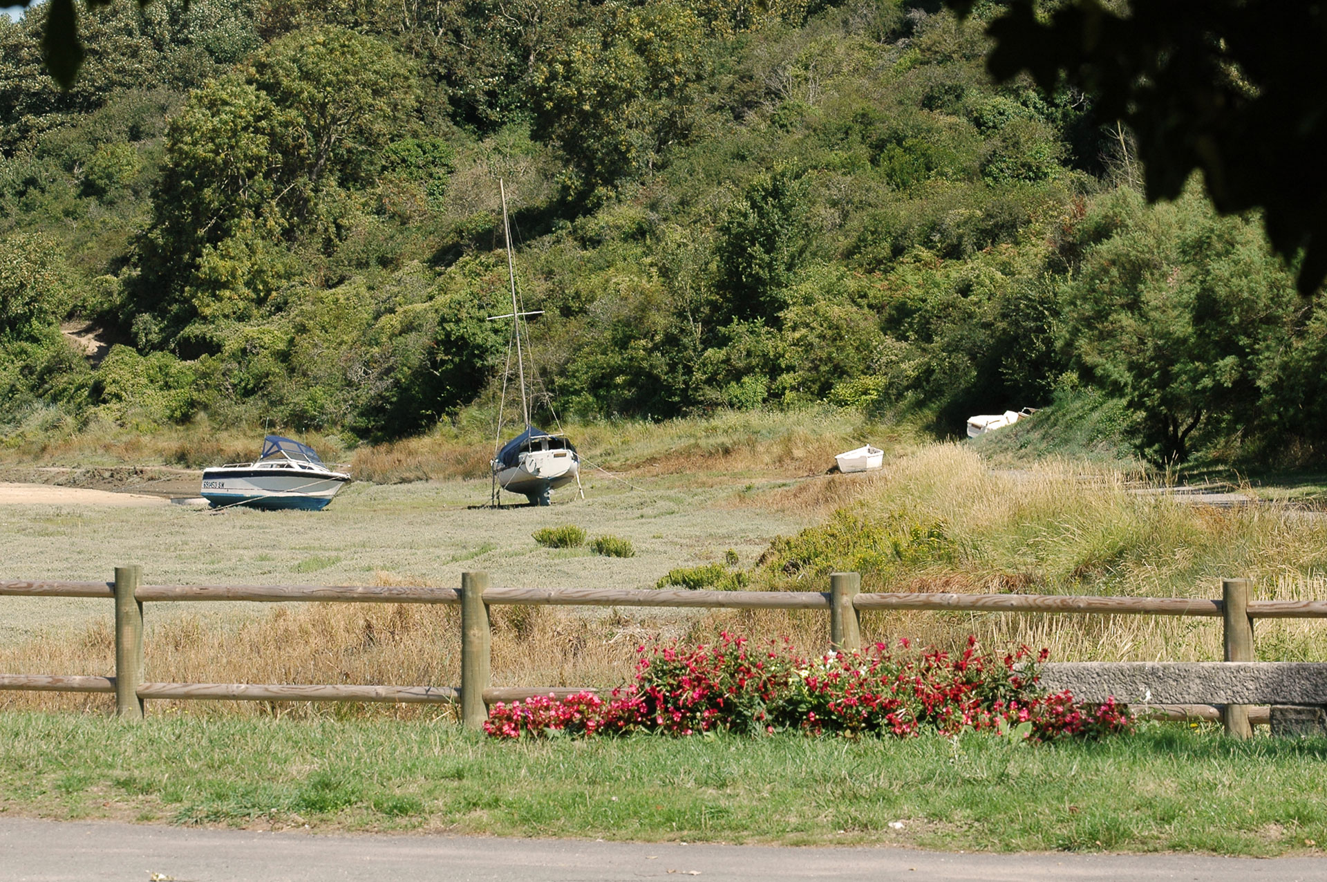 La renouée envahit le goulet